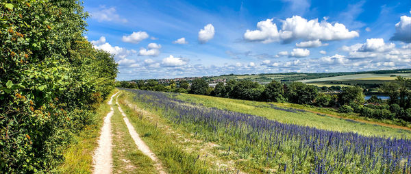 Scenic view of landscape against sky