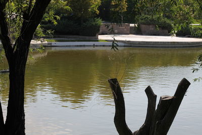 Wooden post in lake