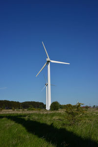 environmental conservation