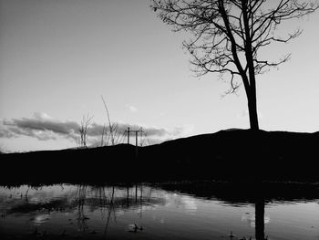 Reflection of trees in water