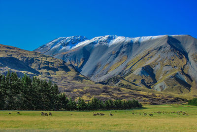 Scenic view of field and mountains against clear blue sky