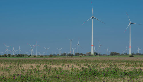 Wind turbines on field against blue sky