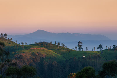 Beautiful dawn over hills with tea plantations near haputale in sri lanka.