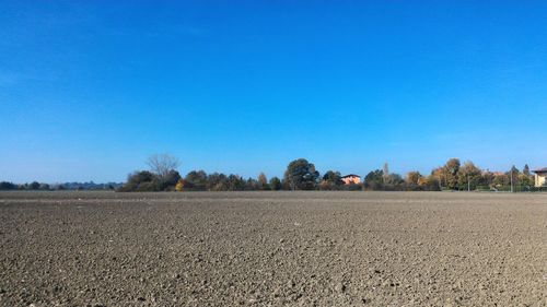 Scenic view of agricultural field against clear blue sky