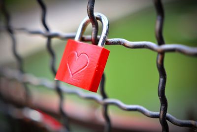 Close-up of padlocks on fence