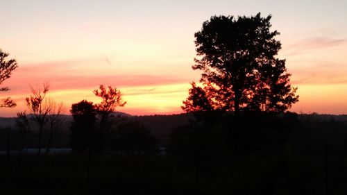 Silhouette trees on landscape against sky at sunset