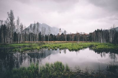 Reflection of trees in lake against sky