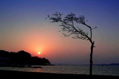 Scenic view of sea at sunset