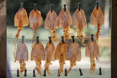 Clothes hanging from for sale at market stall