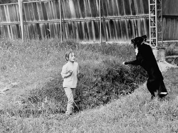 Rear view of dog on field