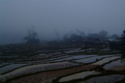 Scenic view of field against sky during foggy weather