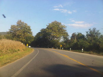 Empty road along trees