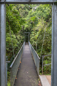 Footbridge amidst trees in forest