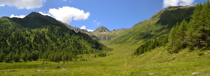 Panoramic view of green landscape and mountains against sky