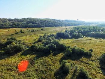 Scenic view of agricultural field against sky