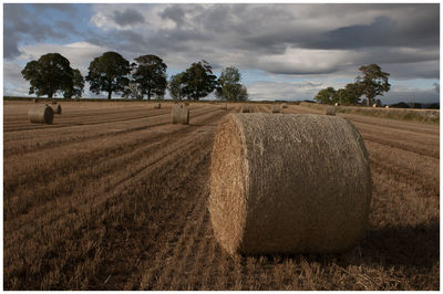 Hay bales on field against sky
