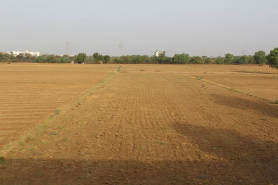 Scenic view of field against clear sky