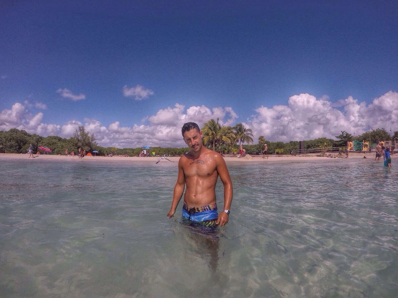 sky, vacations, water, shirtless, tree, standing, sea, beach, outdoors, nature, one person, people, day, young adult, adult, adults only, only men, one man only