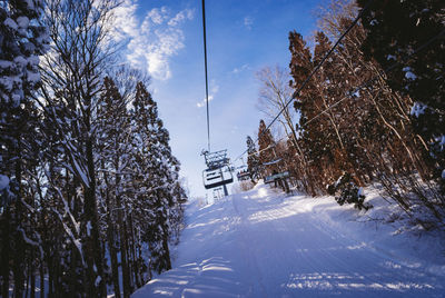 Trees on snow covered land against sky