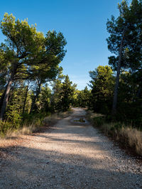 Road amidst trees against clear sky