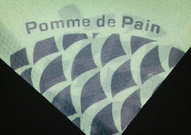 Pomme de Pain