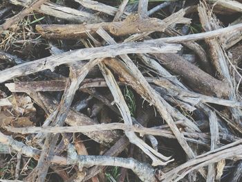 Full frame shot of firewood