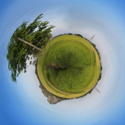 Digital composite image of trees against blue sky