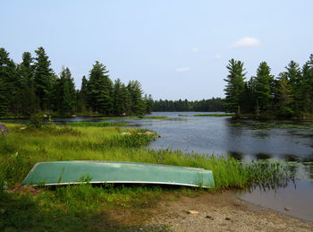 Scenic view of lake in forest against sky