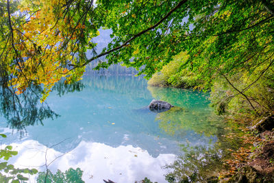 Scenic view of lake amidst trees in forest