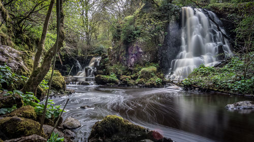 Waterfall in forest