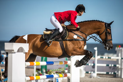 Full length of woman riding horse over obstacles