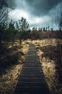 Boardwalk amidst trees against sky