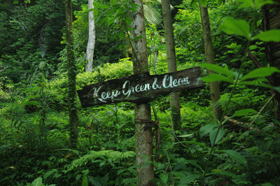 Information sign on tree trunk in forest