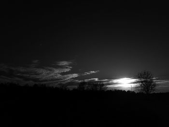 Silhouette of trees at night