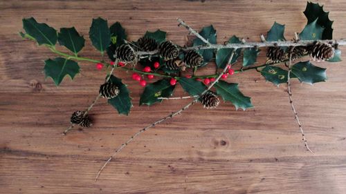 High angle view of flowers hanging on wooden table