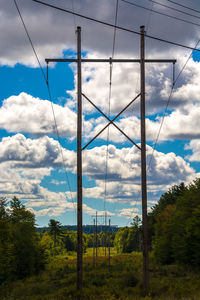 Low angle view of trees against sky