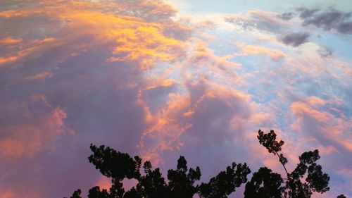 Low angle view of trees against cloudy sky