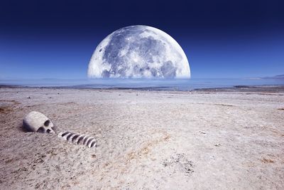 Digital composite image of a desert