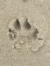 High angle view of footprints on sand