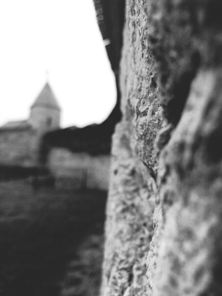 architecture, built structure, old, tree, selective focus, focus on foreground, tree trunk, close-up, outdoors, day, no people, sky, nature, deterioration, growth