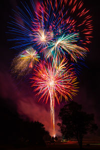 Low angle view of firework display at night