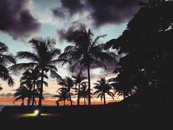 Silhouette palm trees against sky during sunset