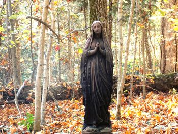 Virgin mary statue against trees during autumn