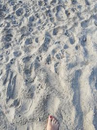 Low section of person standing on sand