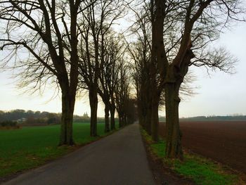 Road amidst trees against sky