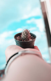 Cropped hand of person holding potted plant against sky