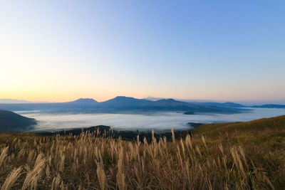 Scenic view of field against sky during sunrise