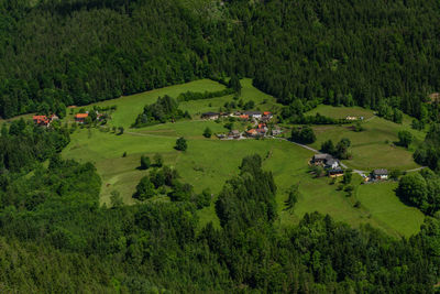 High angle view of trees and houses on field