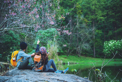 Rear view of people sitting on land by trees in forest