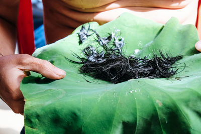 Midsection of shirtless man carrying human hair in leaf